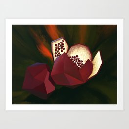 exploded pomegranate Art Print