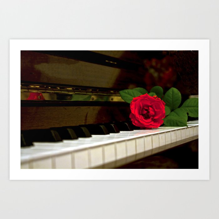 ROMANTIC RED ROSE FLOWER ON PIANO Art Print