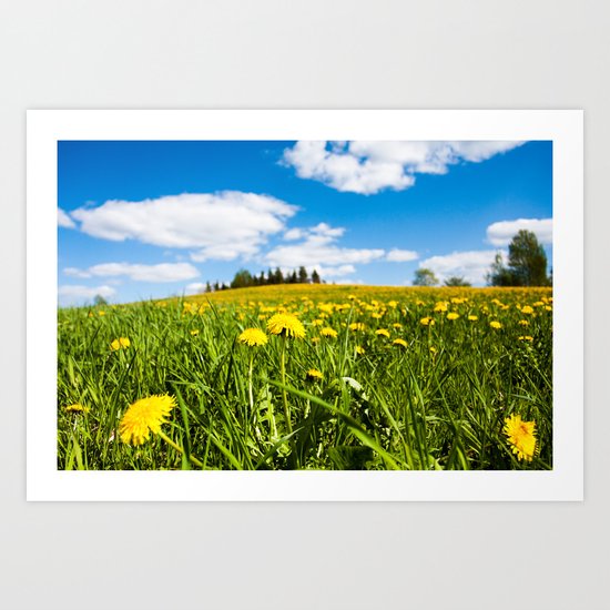 Dandelion field Art Print