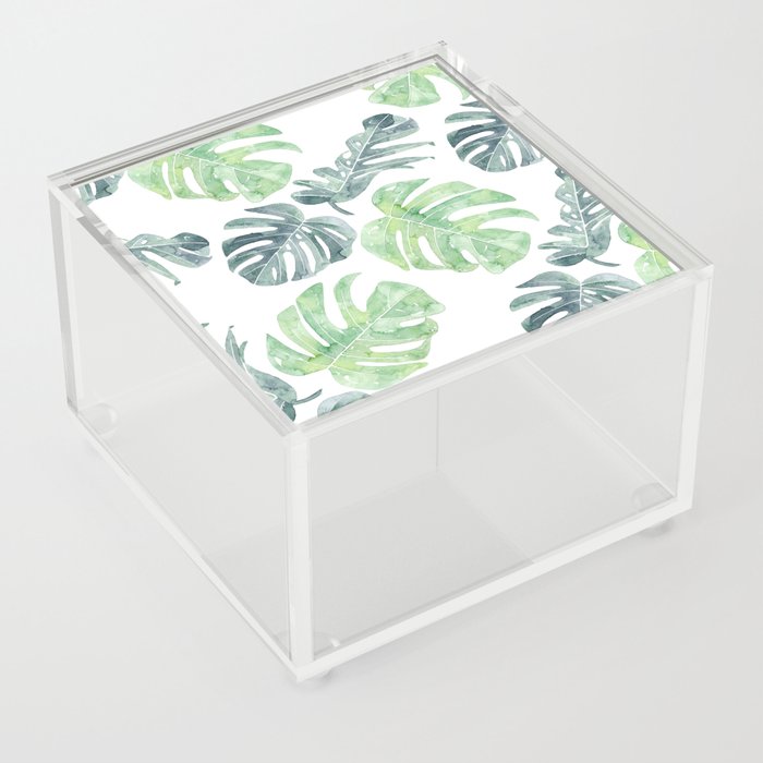 monstera 12 Acrylic Box