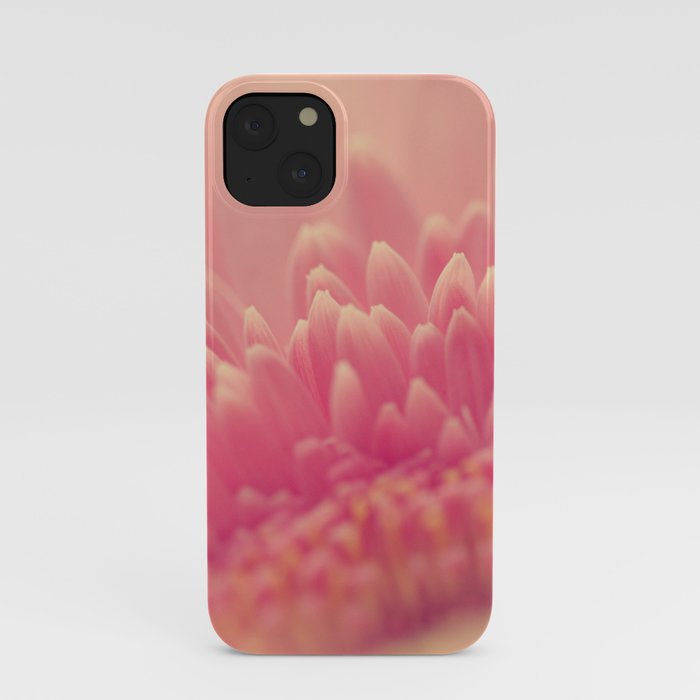 Pink Gerbera Daisy iPhone Case