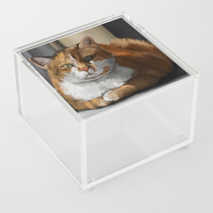 Goldie Acrylic Box