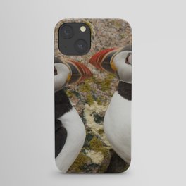 Puffin Pair - Petit Manan Island iPhone Case