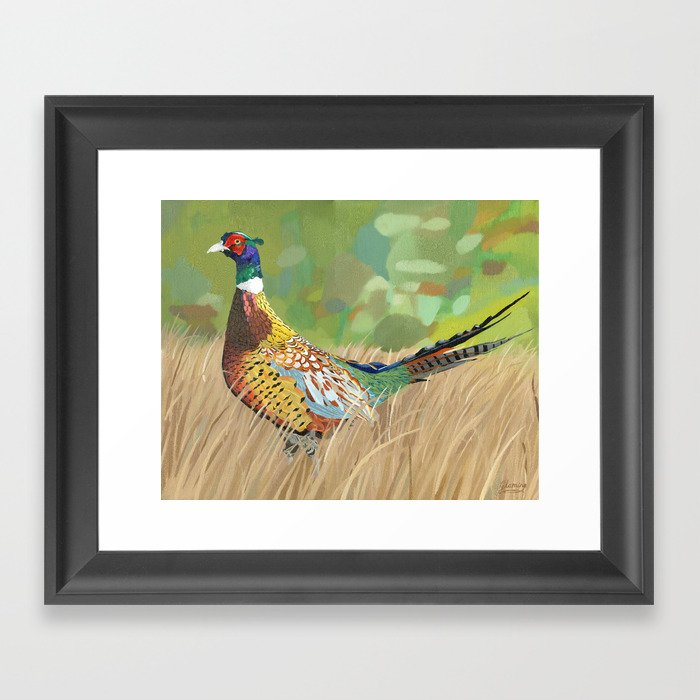 Pheasant Framed Art Print