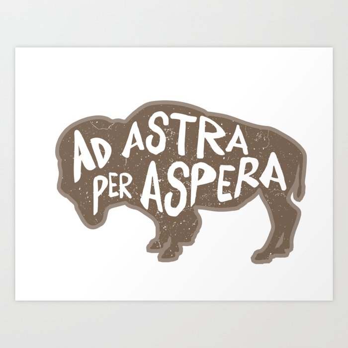 Ad Astra Per Aspera Art Print