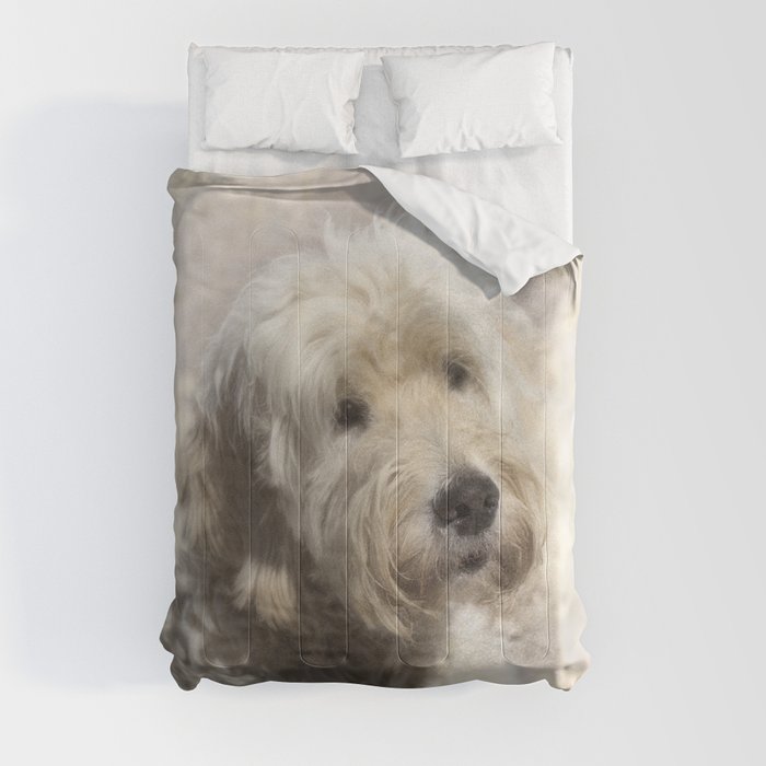 Dog Golden Doodle Comforter