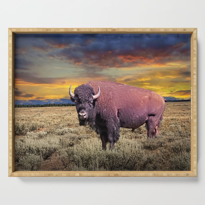 American Bison the National Mammal of the USA in Yellowstone National Park Serving Tray