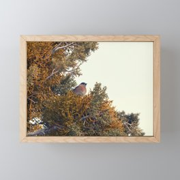 Birds Framed Mini Art Print