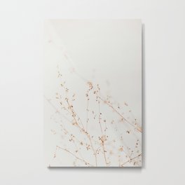 Wild Flowers Photography - Grass Print - Neutral Tones - Delicate Nature photo by Ingrid Beddoes Metal Print