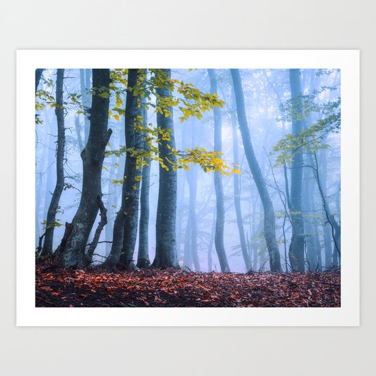 Mysterious Woods Art Print