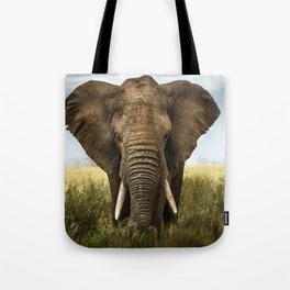 Elephant portrait Tote Bag