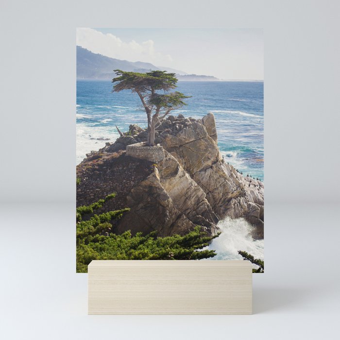 The Lone Cypress Mini Art Print