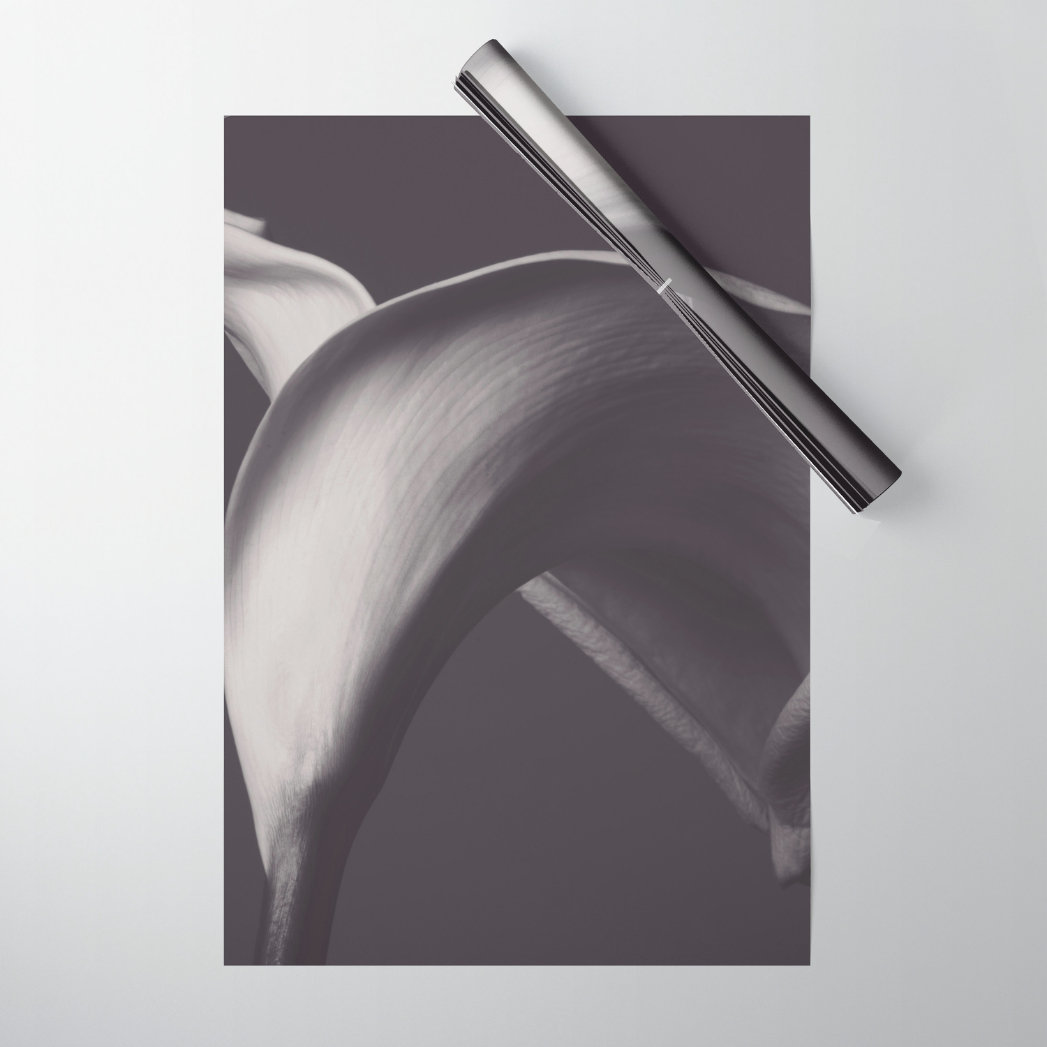 Black And White Flower Fine Art Photography Nature By Demstudio 35 00 Nature Photography Flowers Black And White Photographs Black And White Flowers