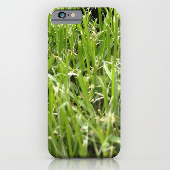 turtle iPhone & iPod Case