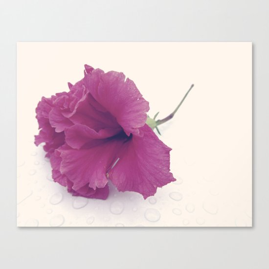 Untouched. Canvas Print