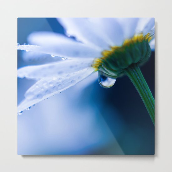 Tear of Dreams Metal Print