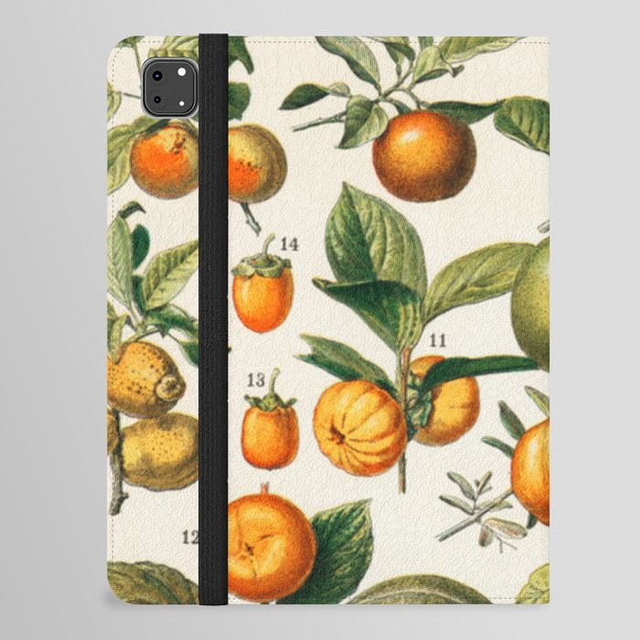 Fruit Chart iPad Folio Case