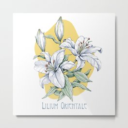 Radiant Lilies on Sunshine Canvas - Floral Digital Art Metal Print