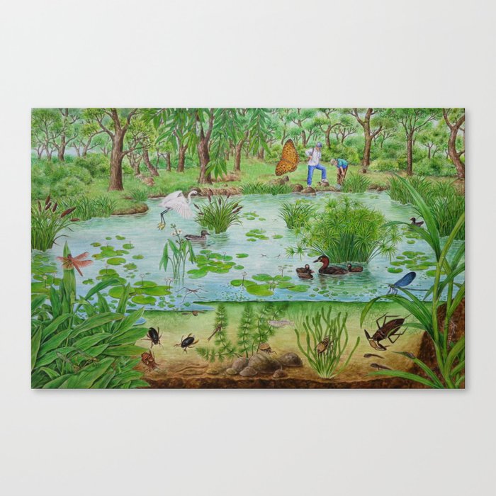 A Day of Forest (4). (the lake ecosystem) Canvas Print