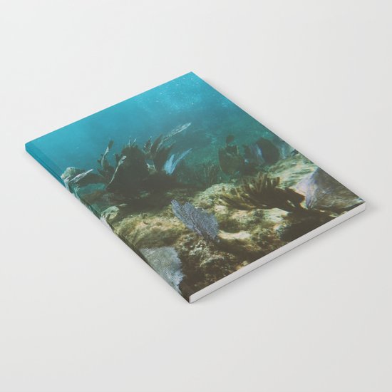 Mexican Caribbean Sealife Notebook