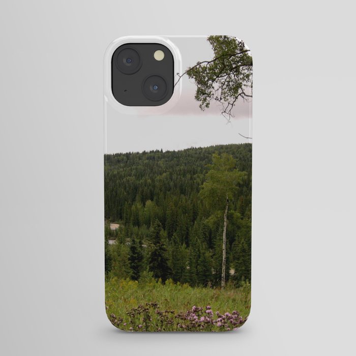 Spring in WaterValley iPhone Case