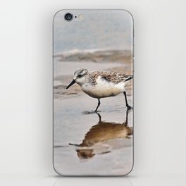 Sanderling Antics on the Shore iPhone Skin