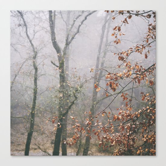 "Into the woods VII". Wandering into the fog Canvas Print