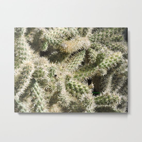 TEXTURES -- Munz's Cholla Metal Print