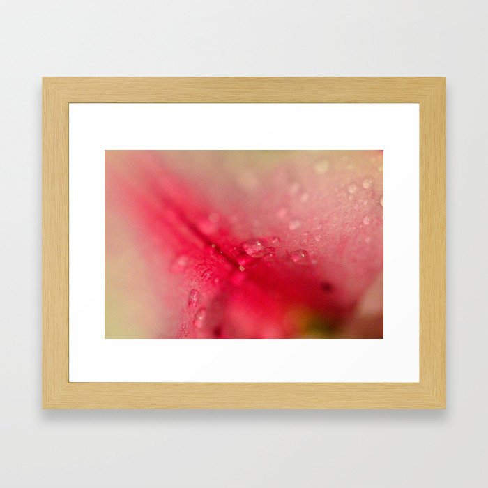 Vibrant Abstract Lily  Framed Art Print