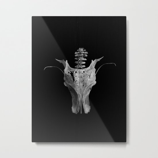 Dragon skull Metal Print