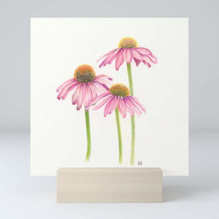 Echinacea Trio Mini Art Print