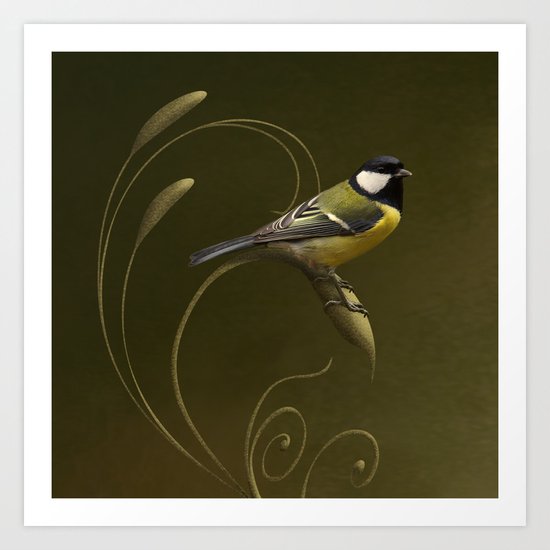 Great tit on swirled branch Art Print