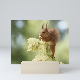 squirrel standing on flowers Mini Art Print