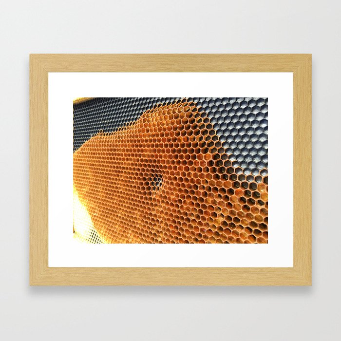Honey Comb Framed Art Print