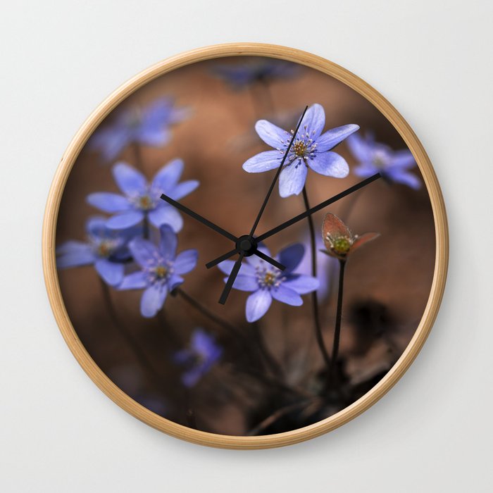 Blue liverworts Wall Clock