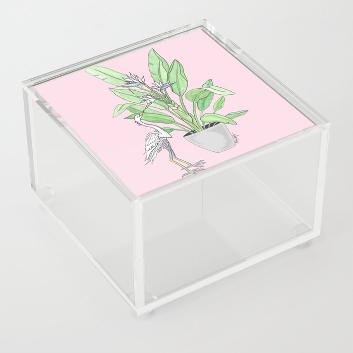 White Bird of Paradise House Plant Acrylic Box
