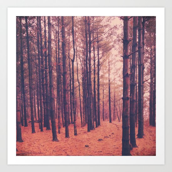 Vintage Pines Art Print