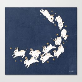 Rabbits run Canvas Print
