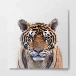  Tiger Metal Print | Art, Hangings, Wood, Digital, Framed, Canvas, Tooth, Fur, Graphite, Animal 