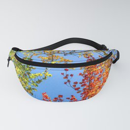 Aspen Color Candy // Green Yellow Red and Orange Fall Leaf Colors Fanny Pack