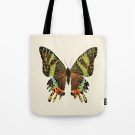 Madagascan Sunset Moth Watercolor Vintage Butterfly  Tote Bag