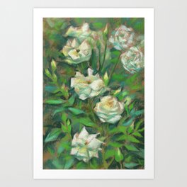 White roses, green leaves Art Print