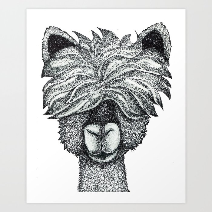 Llama with the Good Hair Art Print
