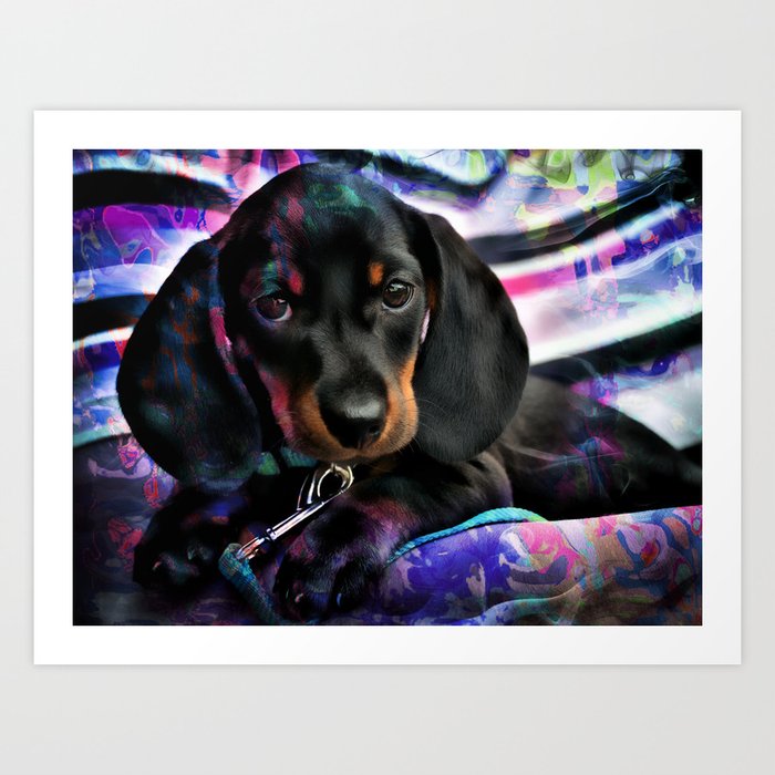 Dachshund Puppy Wiener Dog Art Art Print