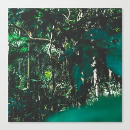 Brazil Photography - Rain Forest With Wet Green Leaves Canvas Print