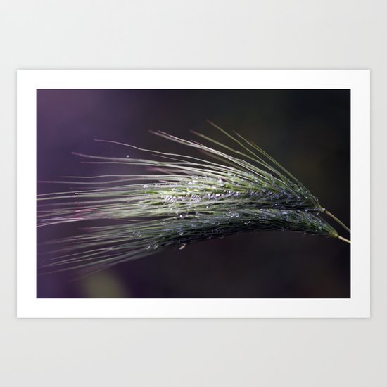 gocce di rugiada Art Print