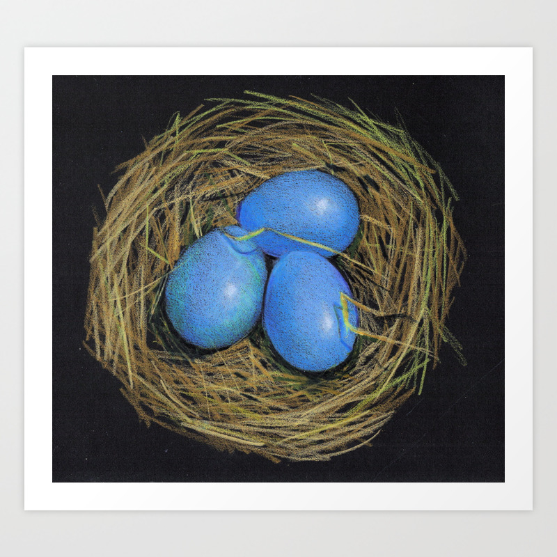 Blue Bird S Eggs In Nest Color Pencil Drawing Art Print By Joyart