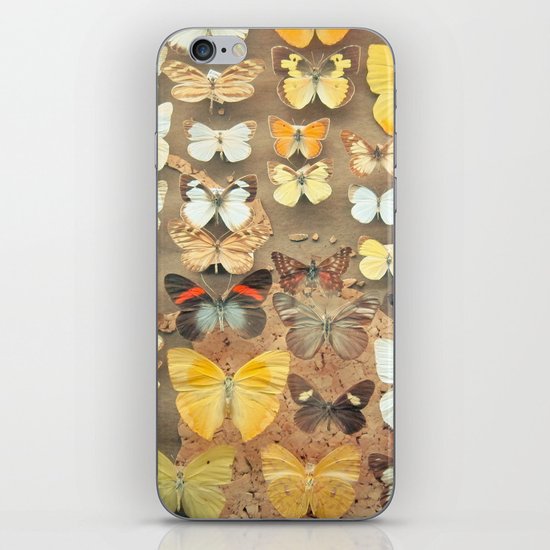The Butterfly Collection I iPhone & iPod Skin