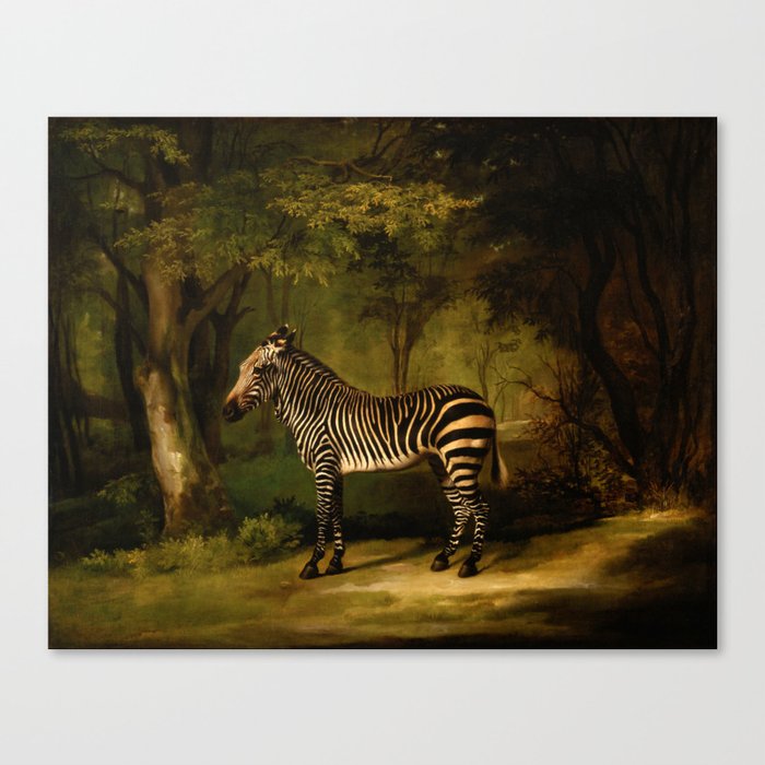 Zebra by George Stubbs (1763) Canvas Print