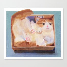 Cat in a Box Canvas Print